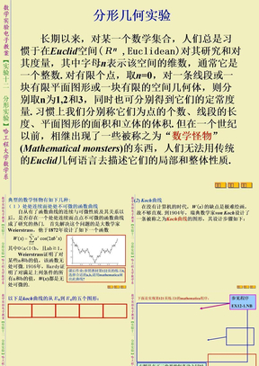 分形实验