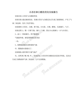 小苏打和白醋的变化实验报告