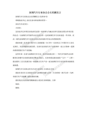 深圳汽车行业协会会长程鹏发言