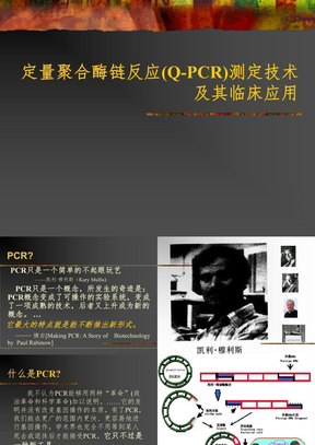 Q-PCR技术