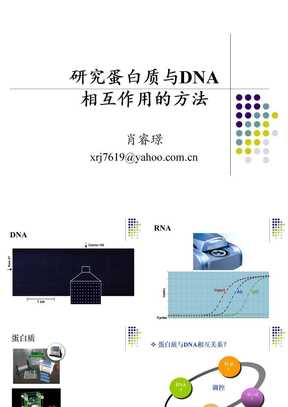 染色质免疫沉淀法