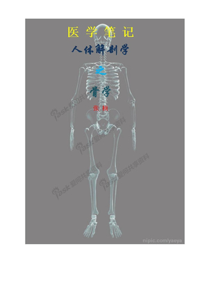 医学笔记：人体解剖学之骨学