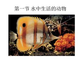 八年级生物水中生活的动物5