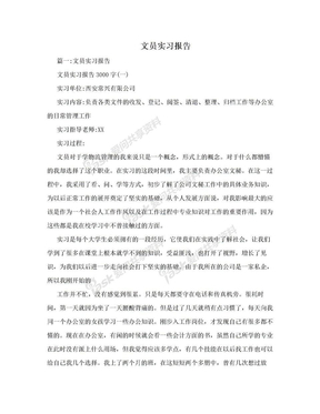 文员实习报告