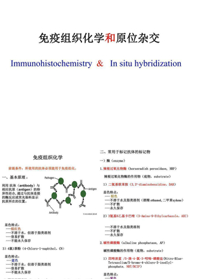 免疫组化与原位杂交