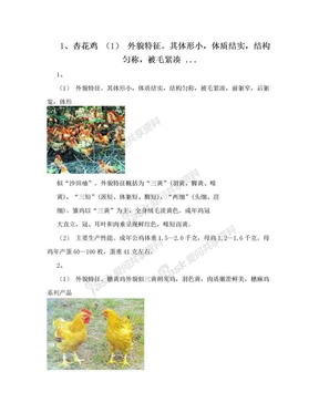 1、杏花鸡 （1） 外貌特征。其体形小，体质结实，结构匀称，被毛紧凑 ...