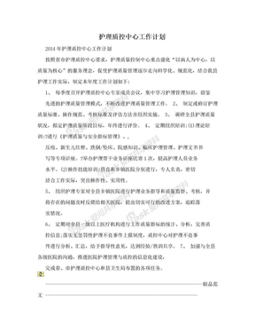 护理质控中心工作计划