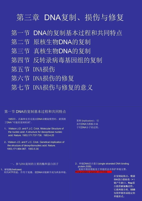 第三章 DNA复制损伤与修复