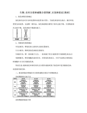 生物_有丝分裂和减数分裂图解_区别和联系[教材]