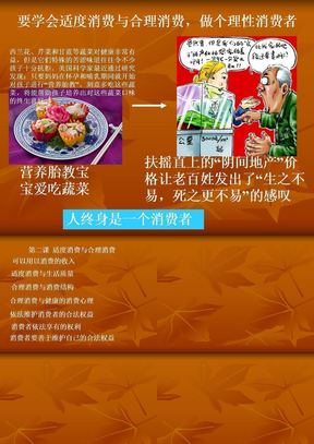 第二课适度消费与合理消费