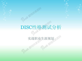 DISC性格测试分析