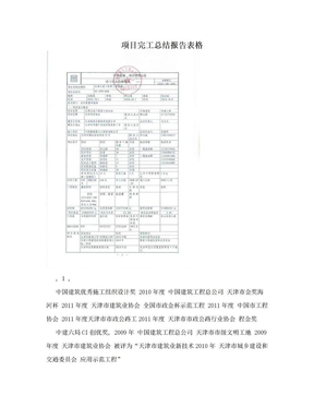 项目完工总结报告表格