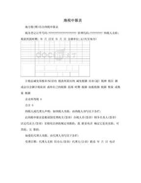 地税申报表