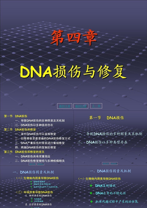 第04章 DNA损伤