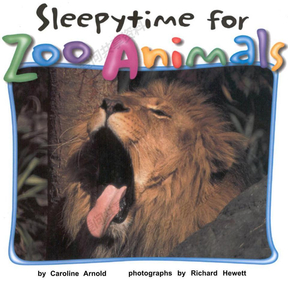 动物睡觉的样子_Sleepytime for Zoo Animals