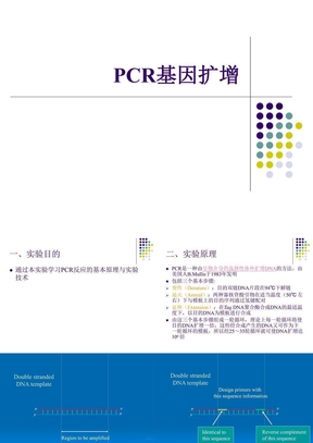 实验五、PCR基因扩增