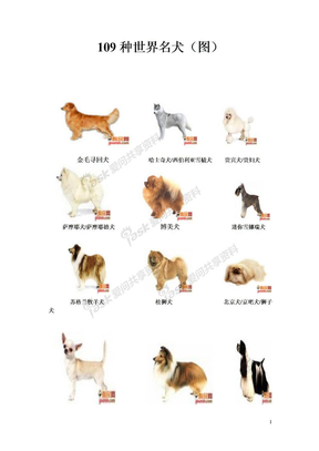 109种世界名犬