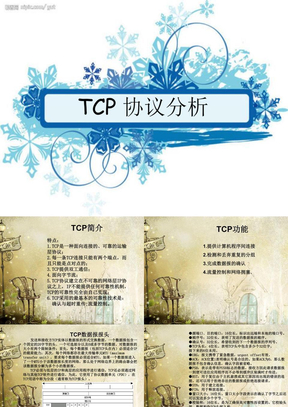 TCP协议分析