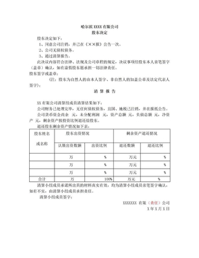 独资有限公司注销股东决定、清算报告