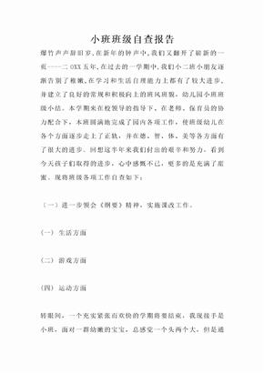 小班班级自查报告