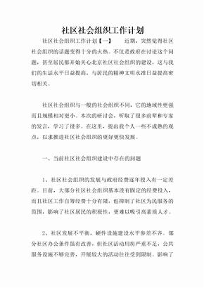 社区社会组织工作计划