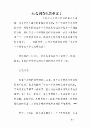 社会调查报告例文2