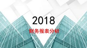 财务报表分析1