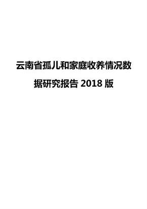 云南省孤儿和家庭收养情况数据研究报告2018版