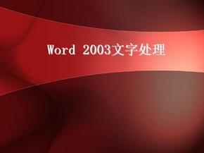 Word_2003基本操作教程