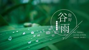 谷雨节气简约风PPT模板