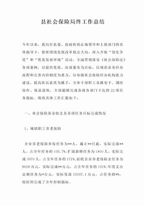 县社会保险局终工作总结