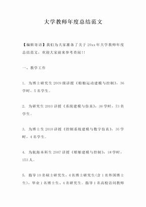 大学教师年度总结范文