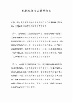 电解车间实习总结范文