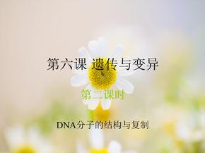 dna分子的结构和复制PPT课件