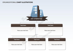 公司组织架构ppt图表