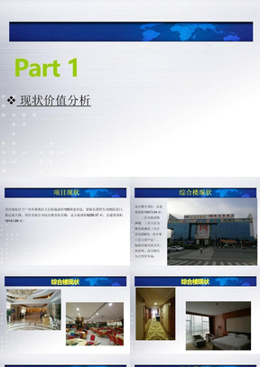 項目可行性研究報告