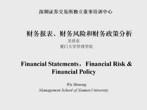工程经济 财务报表、财务风险、财务政策分析