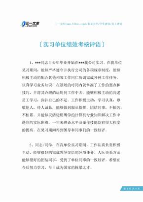 实习单位绩效考核评语