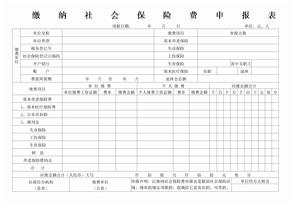 缴纳社会保险费申报表