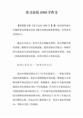 实习总结3000字作文