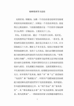 校师资班学习总结