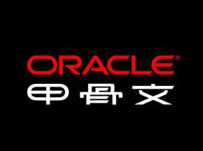 Oracle人力资源管理系统新