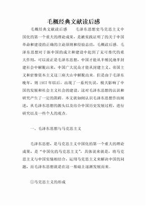 毛概经典文献读后感