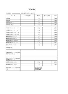 出资情况表格