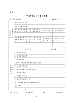 研发支出项目预算表