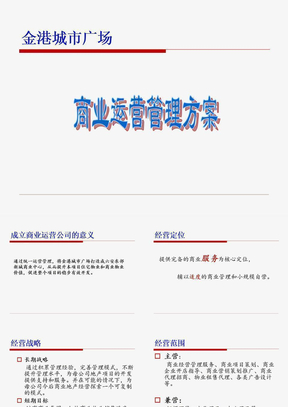 商业运营管理公司运营方案