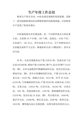 生产年度工作总结