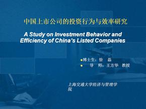 中国上市公司的投资行为与效率研究(预答辩)