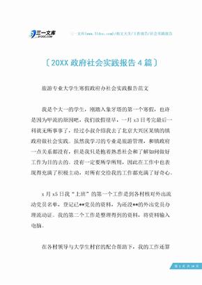 20XX政府社会实践报告4篇