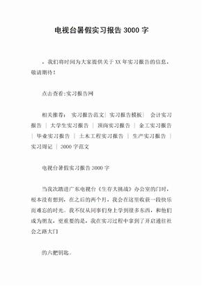 电视台暑假实习报告3000字